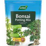 Soil Westland Bonsai Potting Mix Enriched With Seramisn Strong Roots