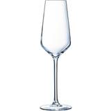 Champagne Glasses Eclat Ultime Champagne Glass 21cl 6pcs