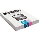 Ilford Multigrade FB Cooltone, Glossy, 8 x 10in, 100 Sheets