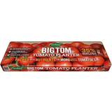 Westland Big Tom Super Tomato Growbag Planter