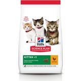 Hill's Pets Hill's Science Plan Dry Kitten Food With Chicken