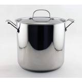 Berghoff Other Pots Berghoff EarthChef Premium Stockpot & with lid