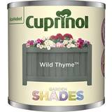 Cuprinol wild thyme Cuprinol Garden Shades Wild Thyme