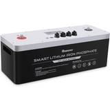 Renogy 48-Volt 50Ah LiFePO4 Smart Lithium Iron Phosphate Battery BMS High-Performance Backup Power for Off-Grid Applications
