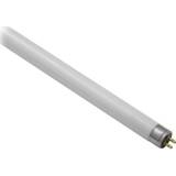 LEDVANCE Basic T5 Short Fluorescent Lamps 13W G5