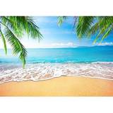 GYA Tropical Beach Background Photo Props for Studio
