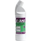 Bathroom Cleaners on sale Evans Everfresh Apple Toilet Cleaner 1L