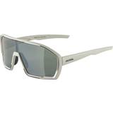 Alpina Bonfire Q-Lite Glasses cool/grey matt/silver 2022
