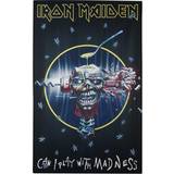 Iron Maiden Can I With Madness Poster