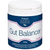 Horse Feed & Supplements Grooming & Care Protexin Gut Balancer 400g
