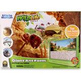 Toys Uncle Milton Giant Ant Farm Large Viewing Area Care for Live Ants Nature Learning Toy Science DIY Toy Kit Great Gift for Boys & Girls, Green