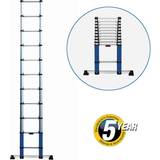 Werner Telescopic Extension Ladder 3.2m wilko
