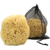 Men Bath Sponges Real Sea Sponge for Men - Extra Large 6 -7 Totally Natural Kind on Skin an Invigorating Shower