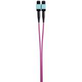 Renkforce MPO trunk cable OM4 multi-mode, 1m, pink