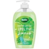 Radox Skin Cleansing Radox Protect & Refresh Antibacterial Handwash 250ml