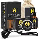 Naland Beard Growth Kit 4-pack