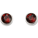 Red Earrings Jan Birth Stone Earrings - Silver/Red