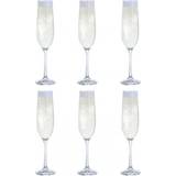 Dartington Crystal Champagne Glass 19cl 6pcs