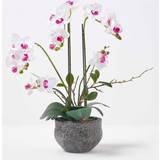 Grey Artificial Plants Homescapes White Orchid Pot Extra Large, 5 Artificial Plant