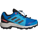 Walking shoes on sale adidas Kid's Terrex GTX - Blue Rush/Grey Six/Turbo