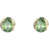 Green Earrings Swarovski Stilla Stud Earrings - Gold/Green