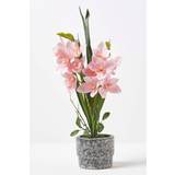 Grey Artificial Plants Homescapes Pink Orchid Cymbidium Pot Extra 2 Artificial Plant
