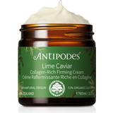 Antipodes Facial Creams Antipodes Lime Caviar Collagen-Rich Firming Day Cream 50ml