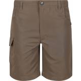 Brown Trousers Children's Clothing Regatta Childrens/kids Sorcer Ii Shorts (treetop)