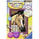 Horses Creativity Sets Ravensburger 296859 "Horse in Stable Painting By Numbers Set