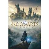 Harry Potter Hogwarts Legacy multicolour Poster