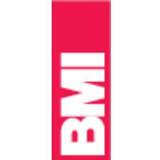 BMI Measurement Tools BMI 694180E 694180E Alu mm/m Spirit Level