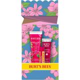 Burt's Bees Gift Boxes & Sets Burt's Bees Burt's Bees You're One a Melon Gift Set with Watermelon Lip Balm, Tinted Lip Balm