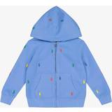 Green Hoodies Polo Ralph Lauren Logo embroidered cotton-blend hoodie blue Y