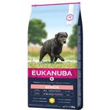 Eukanuba Pets Eukanuba Caring Senior Large Breed Chicken Dog Dry Food 15kg