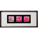 Premier Housewares Pink Floral Colour Triple Framed Art