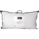 Bed Pillows on sale Die Zudecke Canadian Goose Kingsize Down Pillow