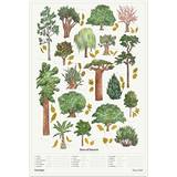 Luckies of London Posters Luckies of London Trees Of Interest Poster 50x70cm