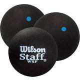 Cheap Squash Balls Wilson Squash-Ball, Staff, 1 Stück, Blau, Schwarz, WRT617000