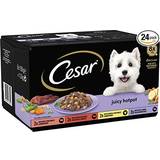 Cesar Juicy Hotpot Adult Wet Dog Food Mixed Selection 8x150g