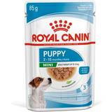 Royal Canin Pets on sale Royal Canin Health Nutrition Mini Puppy Dog Food