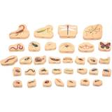 TickiT Wooden Minibeast Blocks Set of 33