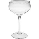 Exxent Glasses Exxent 30,5cl Champagneglas