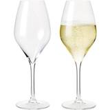 Rosendahl Champagne Glasses Rosendahl Premium Champagne Glass 2pcs