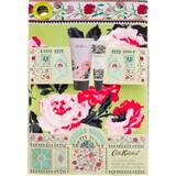 Children Gift Boxes & Sets Cath Kidston Gifts and Sets The Garden Hand and Lip Pouch