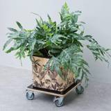 Indoor Plant Stands Nature Plant Trolley Square 38x38