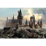 GB Eye Harry Potter Hogwarts Day Poster