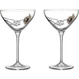Sara Woodrow Champagne Glasses Kosta Boda All about you coupe Champagne Glass 32cl 2pcs