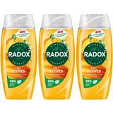 Radox Bath & Shower Products Radox Mineral Therapy Shower Gel Feel Revived