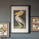 Gallery Interiors Inquisitive Pelican Framed Art