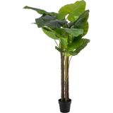Glass Artificial Plants BigBuy Home Decorative 75 Green Philodendron Artificial Plant